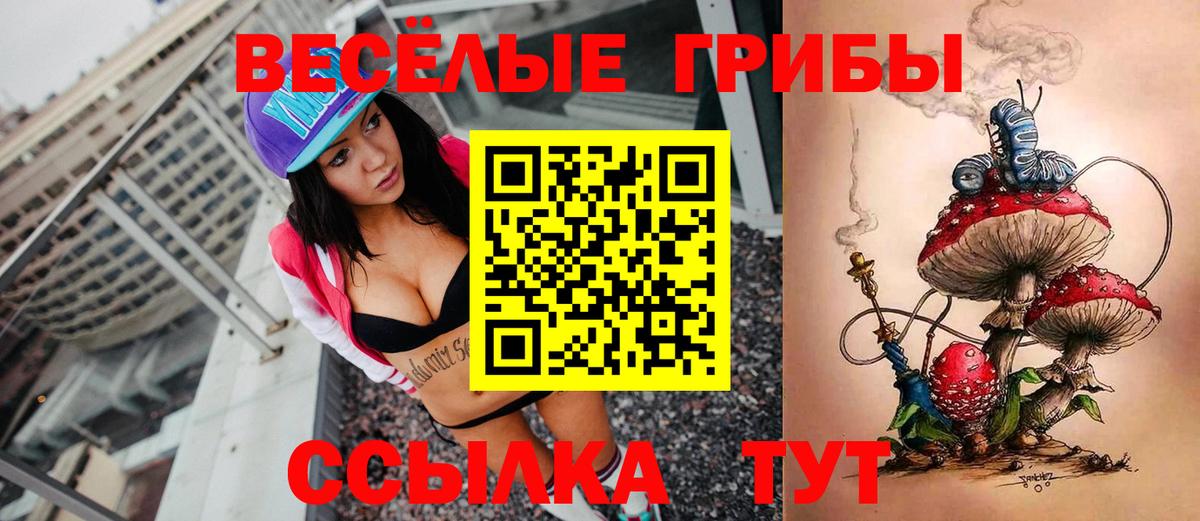 где найти наркотики  Вход с VPN  Славянск-на-Кубани  Псилоцибиновые грибы MAGIC MUSHROOMS 