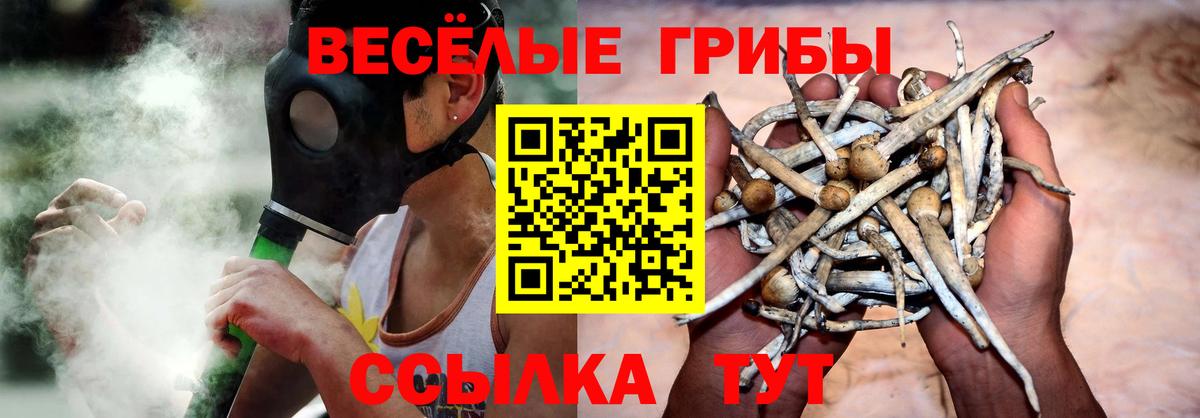 Галлюциногенные грибы прущие грибы Славянск-на-Кубани